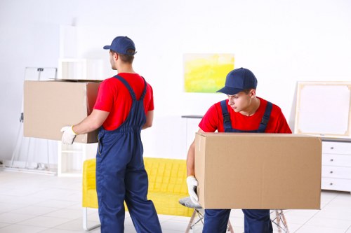 Professional packing services for a Belmont home move
