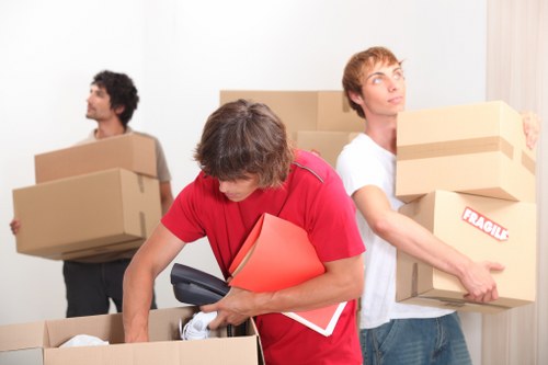 Belmont moving team handling boxes and household items