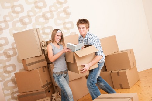 Professional van service in Belmont for practical transport needs