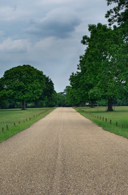 A long, straight gravel driveway leading away from a house, bordered by green grass and evenly spaced wooden posts. Large, mature trees with dense foliage line both sides of the driveway, creating a s