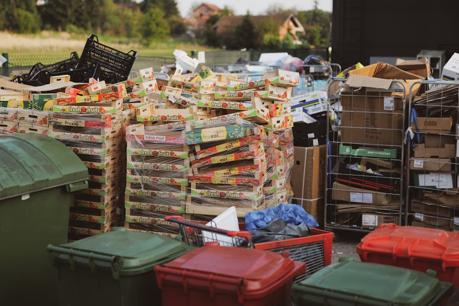 A large outdoor area filled with stacked cardboard boxes of fresh fruits, along with plastic crates, some containing packaging material, and a variety of boxes and containers on metal wire racks. Several plastic waste bins with lids, in green and red, are positioned in the foreground, while in the background, there are additional cardboard boxes, boxes of different sizes, and packing materials, indicating an ongoing packing or relocation process. The scene shows an organized workspace for house removals or home relocation, with items prepared for transport or disposal, supported by Man With a Van Belmont's removals services. The environment is well-lit, revealing a mix of indoor and outdoor elements, with a driveway or loading area visible beyond the clutter, ready for furniture and belongings to be moved or carefully packed for a property transfer or clearance.
